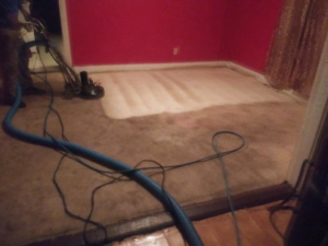 Carpet cleaning in progress with a professional machine and hose by FABULOUS CARPET CARE in Memphis, TN.
