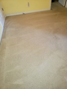 A carpeted room showing visible cleaning lines from a professional carpet cleaning service by Greensboro Carpet Cleaning - DeepClean in Greensboro, NC