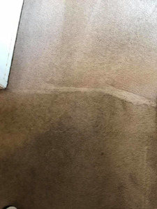 Carpet cleaning in progress, showing a clear distinction between dirty and clean areas by New Look Carpet & Upholstery in Federal Way, WA.