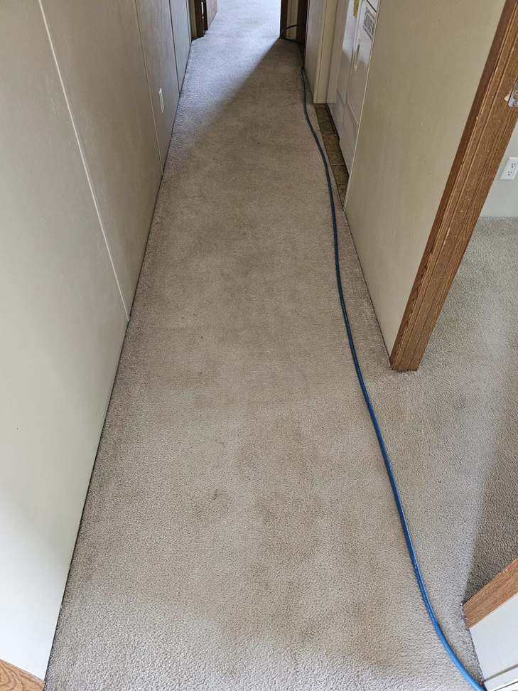 A carpeted hallway with a cleaning hose, showing work in progress by Peterson's Carpet & Air Duct Cleaning in Dickinson, ND.