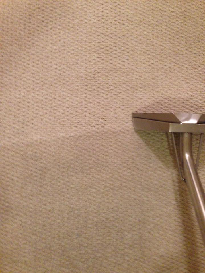 Carpet cleaning in progress showing a clean and dirty section by Heavenly Scent Cleaning Austin Texas & North Carolina in Austin, TX.