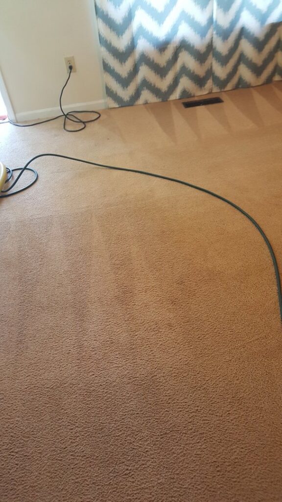 Carpet cleaning in progress with a visible cleaning hose on the floor by ALL Services of NC in Greensboro, NC