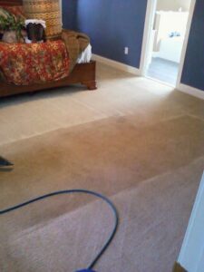 A carpet being cleaned, showing a clean strip next to a dirty area with a cleaning hose, by Bee Clean Carpet Steam Cleaning in Dover, DE.