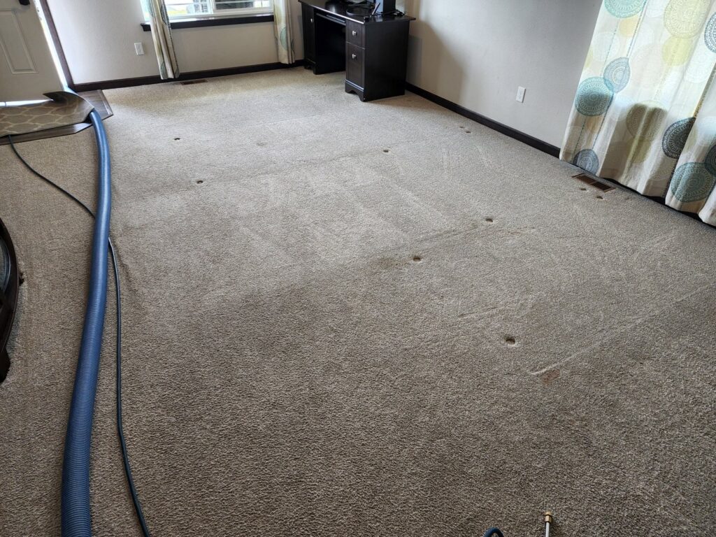 Carpet cleaning in progress with hoses and equipment, showing a partially cleaned area by Clean-Master in Coeur d'Alene, ID.