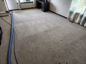 Carpet cleaning in progress with hoses and equipment, showing a partially cleaned area by Clean-Master in Coeur d'Alene, ID.