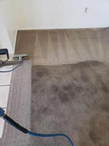 Carpet cleaning in progress, showing a clear before and after section, by Humble Brothers Carpet Cleaning in Durham, NC.