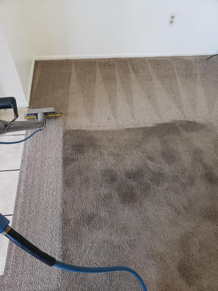 Carpet cleaning in progress, showing a clear before and after section, by Humble Brothers Carpet Cleaning in Durham, NC.