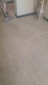 A professional is cleaning a light-colored carpet with a carpet cleaning wand at Hydromax restoration and cleaning in Casa Grande, AZ.