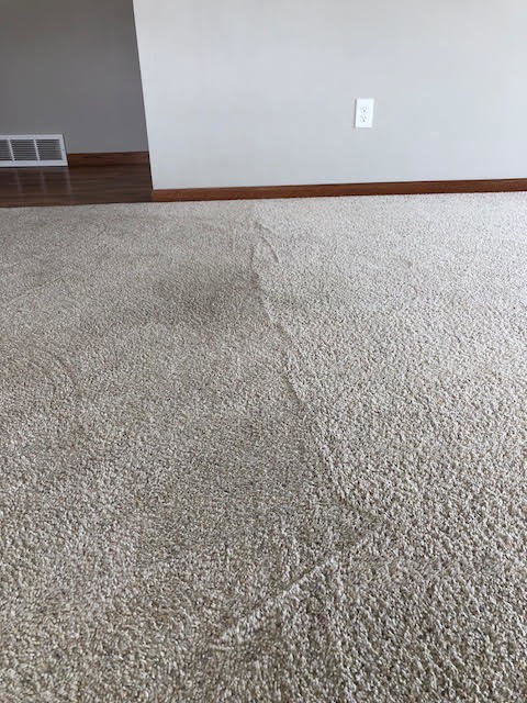 A carpet cleaning job in progress, showing the difference between cleaned and uncleaned areas by Level 8 Steam Cleaning & Restoration in West Fargo, ND.