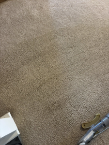 Carpet cleaning in progress, showing a clean path and a cleaning wand, by Lincoln Steam Carpet Cleaning in Lincoln, NE.