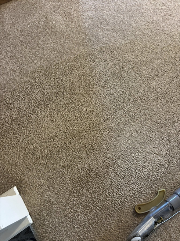 Carpet cleaning in progress, showing a clean path and a cleaning wand, by Lincoln Steam Carpet Cleaning in Lincoln, NE.