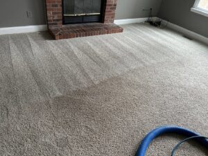 Carpet cleaning in progress in a living room, showing clean and uncleaned sections by 303 Carpet Cleaning in Lakewood, CO