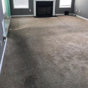 A living room carpet being cleaned, showing a clear difference between cleaned and uncleaned areas by Carpet Cleaning & More in Atlanta, GA.