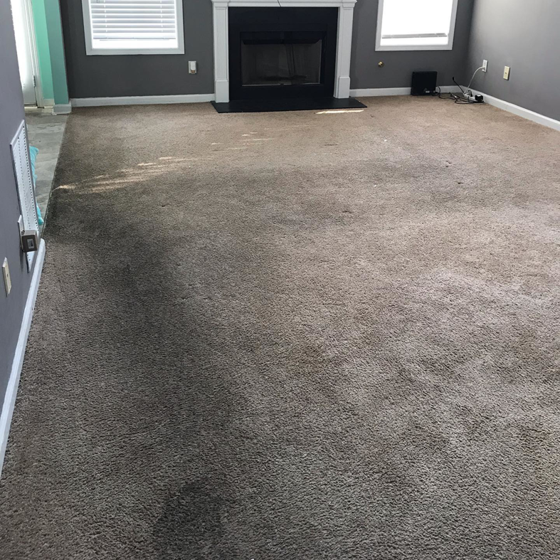 A living room carpet being cleaned, showing a clear difference between cleaned and uncleaned areas by Carpet Cleaning & More in Atlanta, GA.