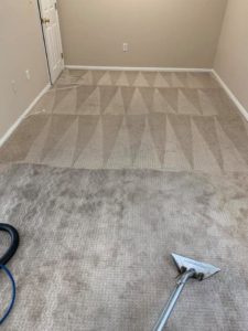 A professional carpet cleaning in progress, showing the cleaning wand and results by Mammoth Carpet Cleaners in Pueblo, CO