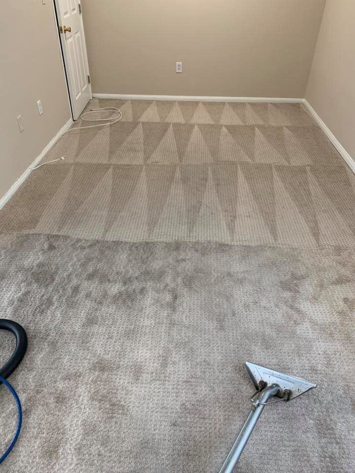 A professional carpet cleaning in progress, showing the cleaning wand and results by Mammoth Carpet Cleaners in Pueblo, CO