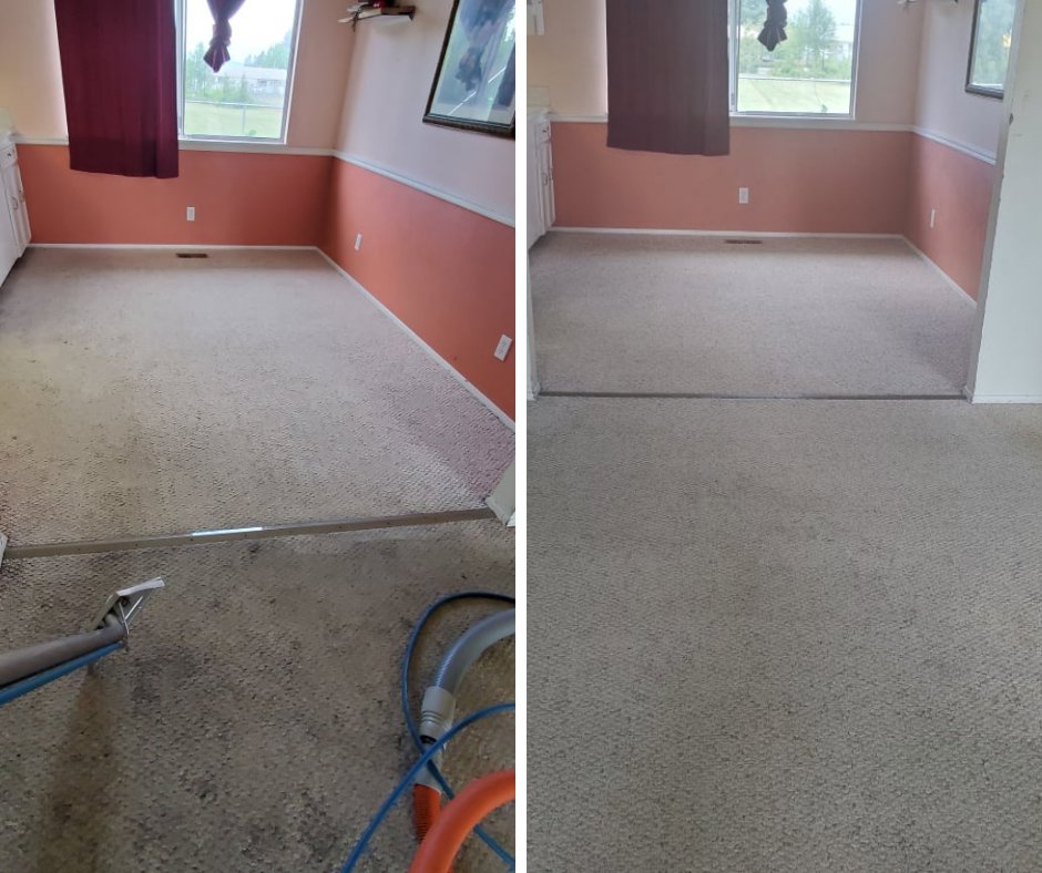 A carpet being cleaned with professional equipment, showing the process by Maxi-Max Carpet Cleaning in Salem, OR