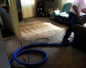 A technician performing carpet cleaning in a living room by Mexsteam in San Diego, CA