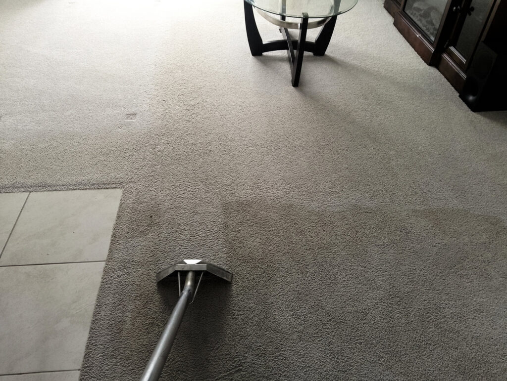 Professional carpet cleaning in progress, showing a clean and dirty section by M&M Carpet & Tile Care in Cape Coral, FL