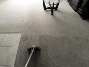 Professional carpet cleaning in progress, showing a clean and dirty section by M&M Carpet & Tile Care in Cape Coral, FL