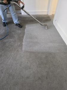 A professional cleaning a grey carpet with a wand, showing a clean strip, by New Dawn's Carpet Cleaning in Cicero, IL.