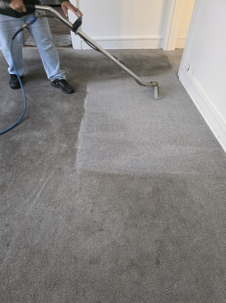 A professional cleaning a grey carpet with a wand, showing a clean strip, by New Dawn's Carpet Cleaning in Cicero, IL.
