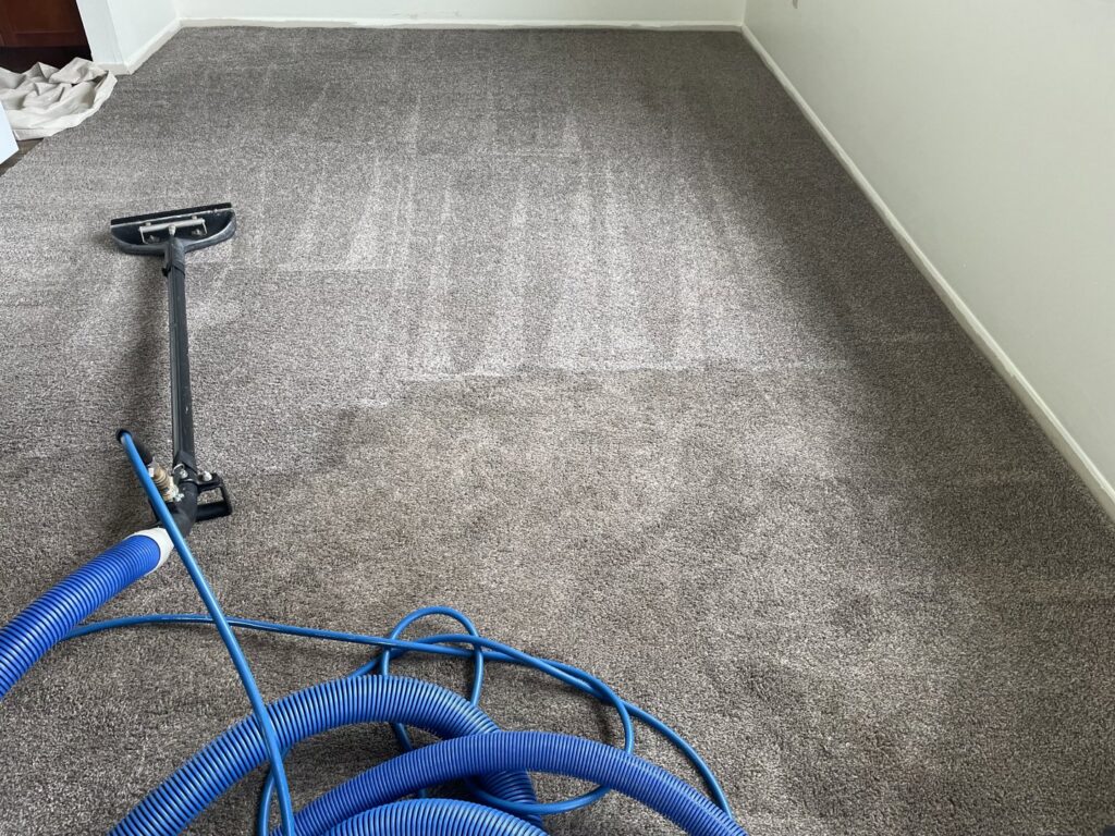 Carpet cleaning in progress with a wand and hoses, showing clean and dirty sections, by Olen's Carpet & Upholstery Cleaning LLC in Cleveland, OH.