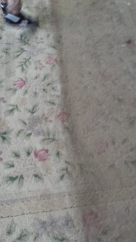 A patterned carpet being cleaned, showing a clear before and after section by Richmond Kwik Dry Total Cleaning in Richmond, VA