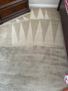 A carpet cleaning job in progress, revealing clean patterns on the carpet by Alex's Carpet Cleaning in Omaha, NE.