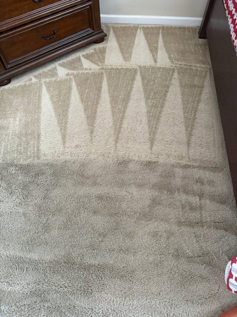 A carpet cleaning job in progress, revealing clean patterns on the carpet by Alex's Carpet Cleaning in Omaha, NE.