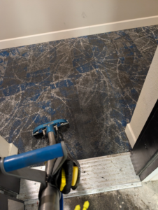 A carpet cleaning tool in action, showing a clean line on a patterned carpet by Premier Carpet Cleaning in Colorado Springs, CO.