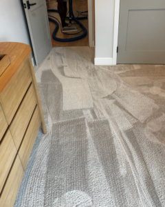 Carpet cleaning in progress, showing wet streaks and a cleaning wand, by Renew Cleaning Services in Scottsdale, AZ.