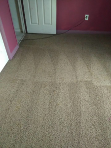 Carpet cleaning in progress showing clean paths by Residential Carpet Cleaning in Bakersfield, CA.