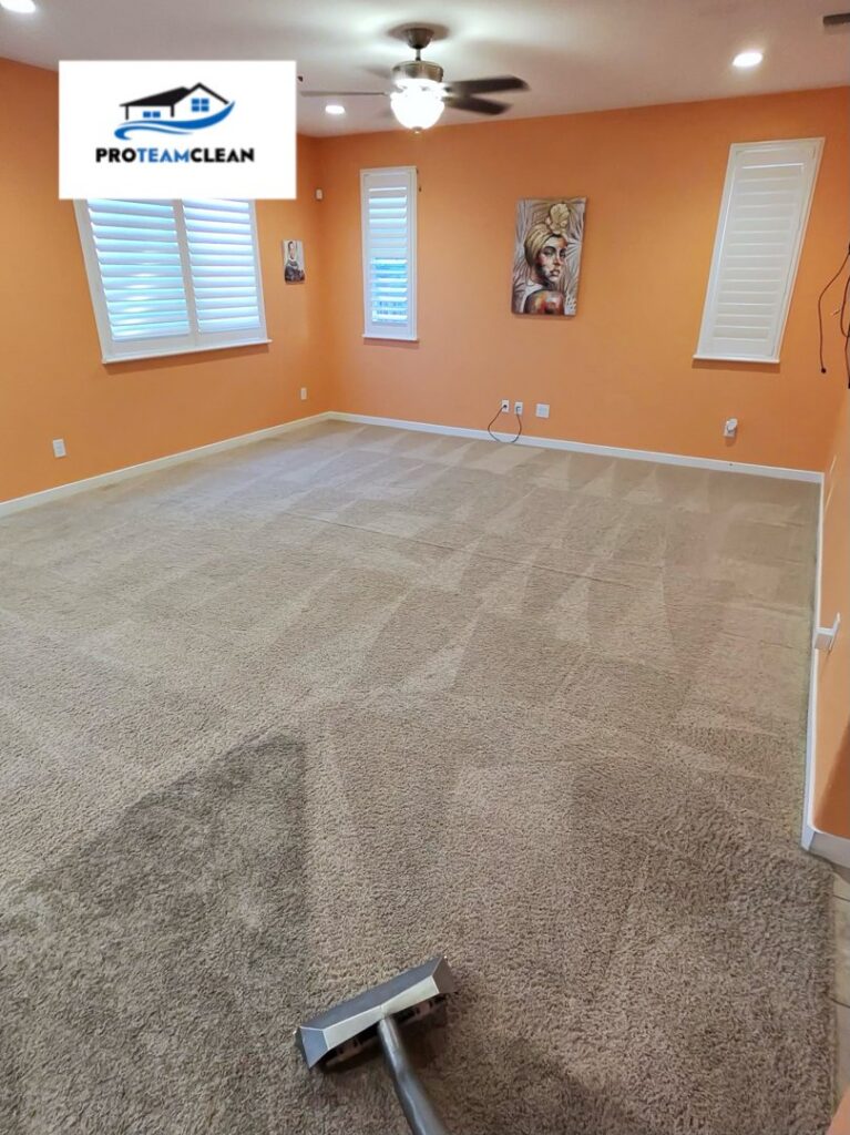 Professional carpet cleaning in progress in a residential room by Pro Team Carpet Cleaning Sacramento, CA.