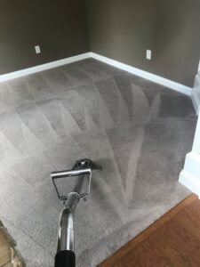 Carpet cleaning in progress in a residential room, showing a clean path by TCK Carpet Cleaning in Indianapolis, IN.