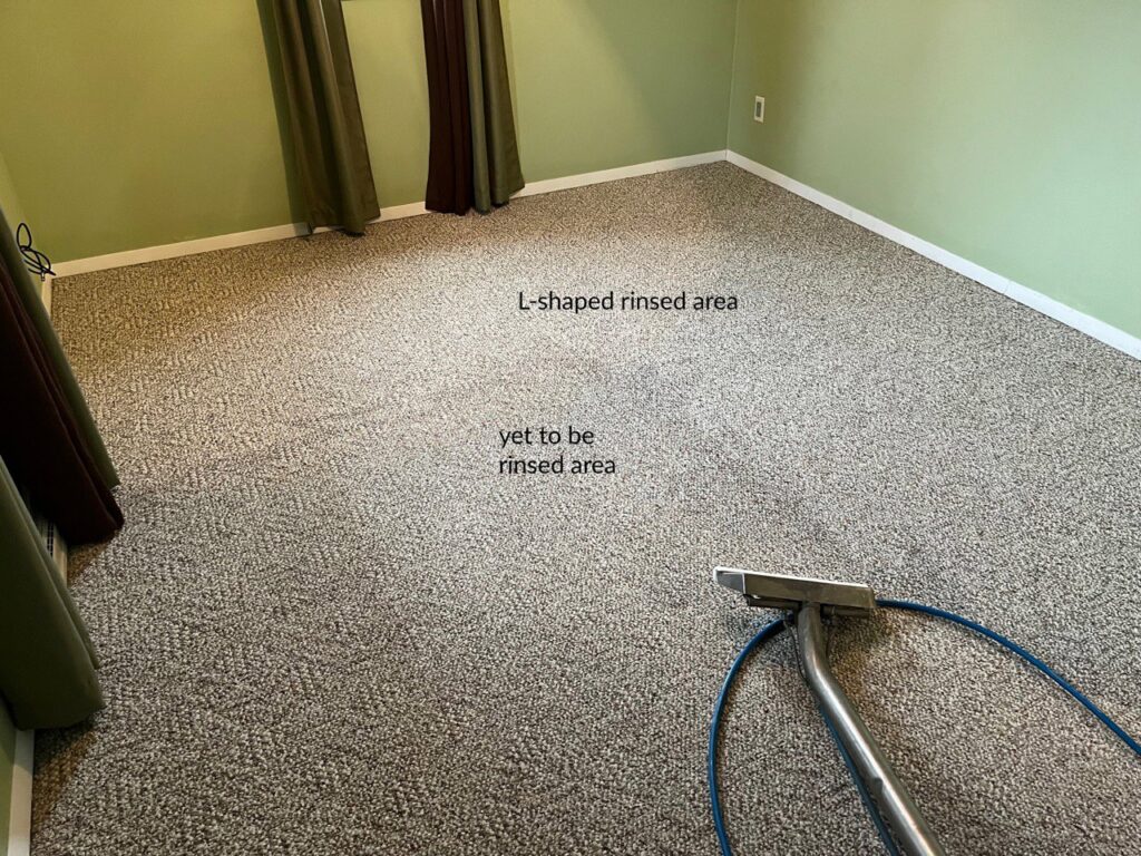 Carpet cleaning in progress, showing a rinsed area and an area yet to be cleaned by Jason Lostetter Carpet Cleaning in New Glarus, WI.