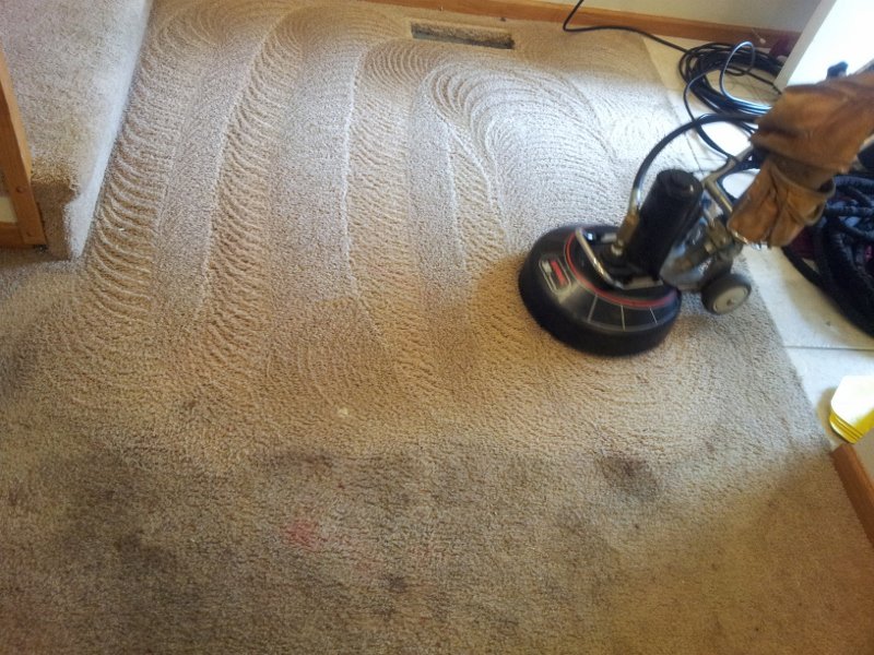 Carpet cleaning in progress with a rotary machine by American Dream Carpet Cleaning in Cedar Rapids, IA.