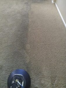 Professional carpet cleaning in progress with a rotary tool by Revolution Carpet Cleaners in Chandler, AZ