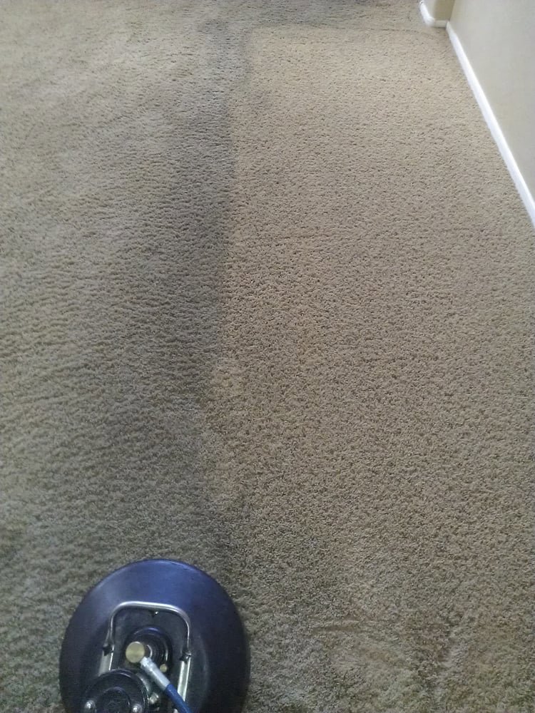Professional carpet cleaning in progress with a rotary tool by Revolution Carpet Cleaners in Chandler, AZ