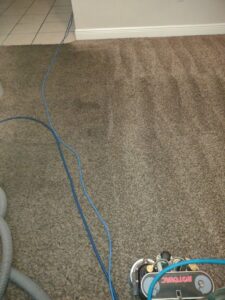 Carpet cleaning in progress with a Rotovac machine and hoses by All Steamed Up Carpet/Upholstery Cleaning in Havana, FL