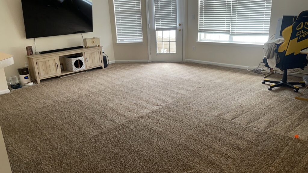 Carpet cleaning in progress showing clean and dirty sections by Sam I Am Carpet Cleaning in Rossville, IN.