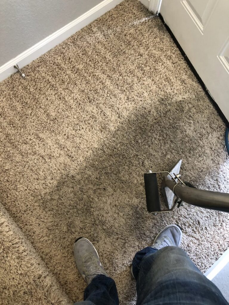 A carpet cleaning professional working on a shaggy carpet, showing the cleaning process by ISteam Carpet Care in Chattanooga, TN.