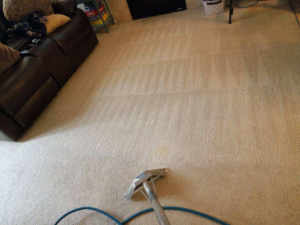 A carpet cleaning wand on a light-colored carpet with visible cleaning stripes by Spot-On Carpet Care in Denver, CO.