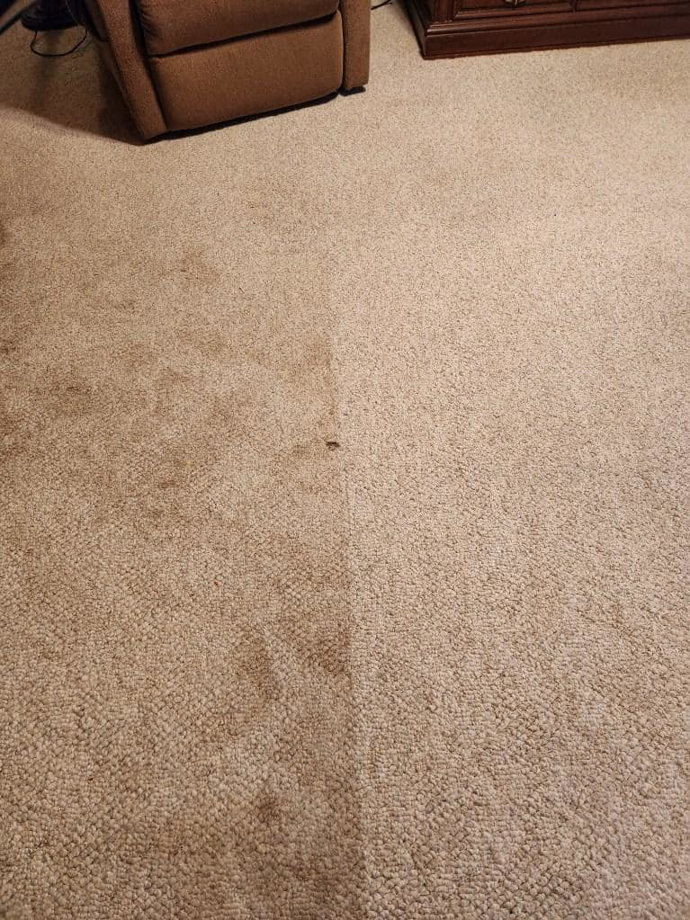 A carpet half cleaned, showing the effective work of Spots Away Carpet Cleaning in Montgomery, AL