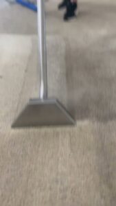 A carpet cleaning wand in action, showing a clean strip on a carpet by STC Carpet Care in Arvada, CO