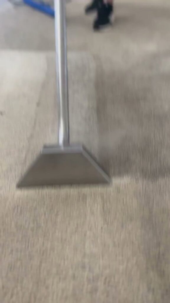 A carpet cleaning wand in action, showing a clean strip on a carpet by STC Carpet Care in Arvada, CO
