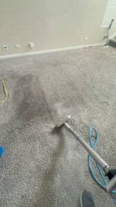 A carpet cleaning wand actively steaming and cleaning a carpet, showing the immediate results of Steam Choice Carpet Care Inc's service in Chicago, IL.