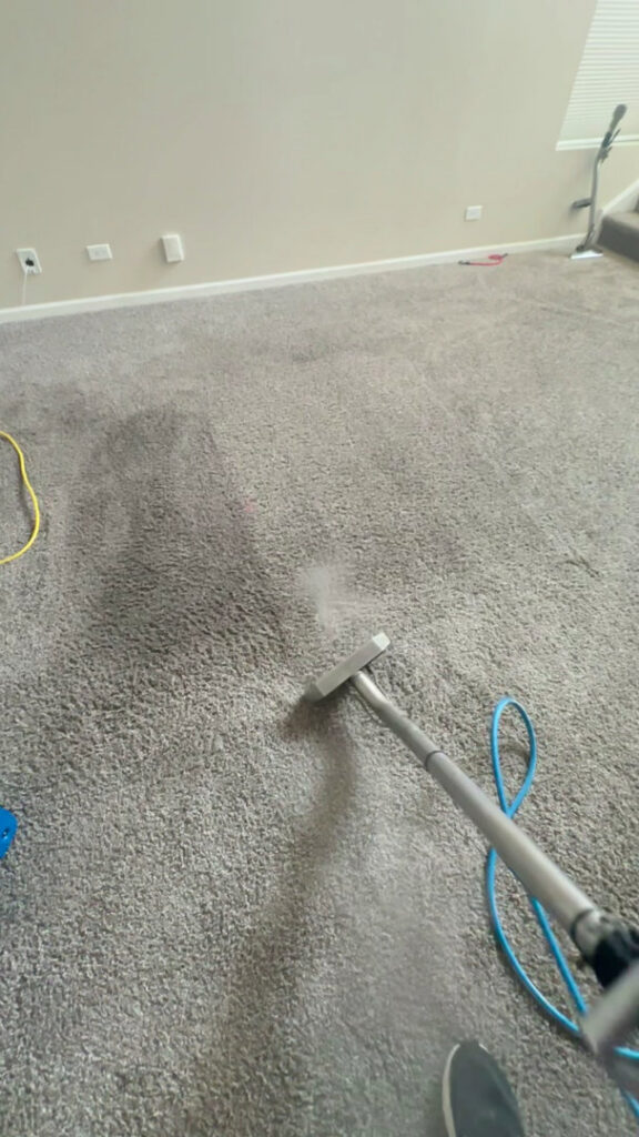 A carpet cleaning wand actively steaming and cleaning a carpet, showing the immediate results of Steam Choice Carpet Care Inc's service in Chicago, IL.