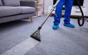 A professional performing carpet cleaning with a wand, showing a clean strip, by Steamway Carpet Cleaning in El Paso, TX