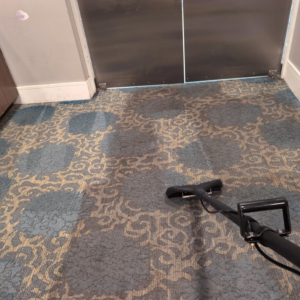 A carpet cleaning tool working on a patterned carpet, showing clean and dirty sections by Tampa Steam Team in Plant City, FL.